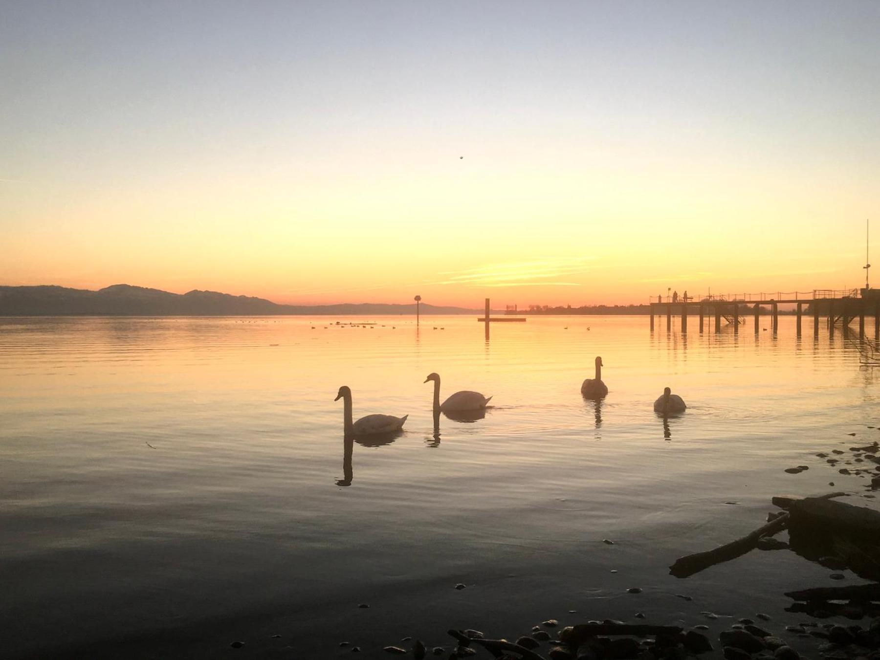 Ferienwohnung Luna Lindau  Bagian luar foto